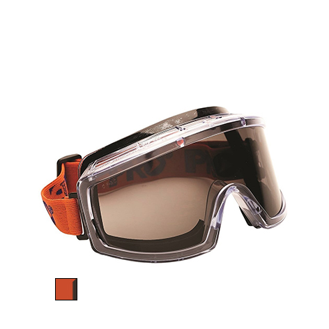 Pro Choice Foamback Goggles 3702